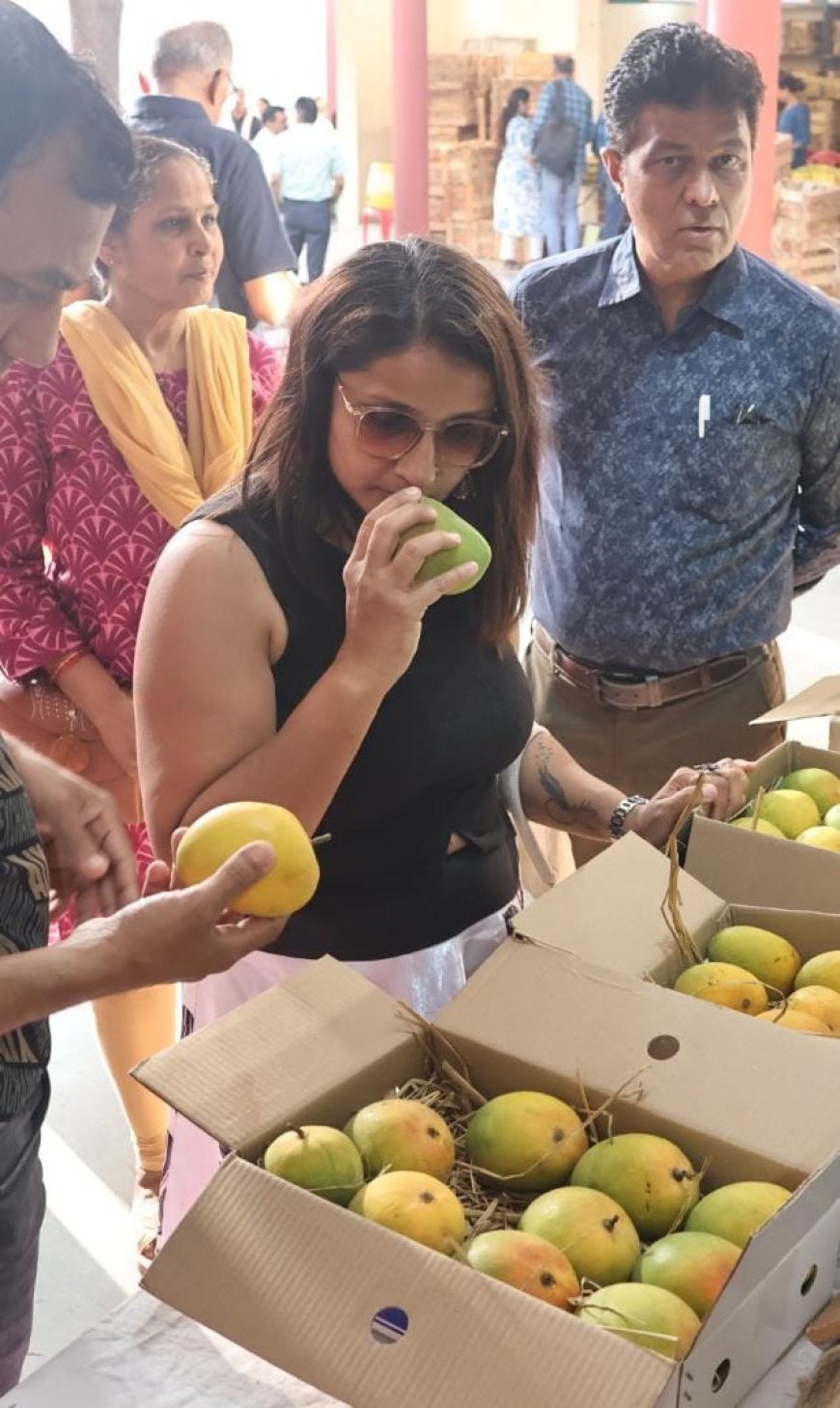 जी आई टैग का दिखा असर, इंदोरियो ने दिखाया ओरिजिनल हापुस के प्रति उत्साह*