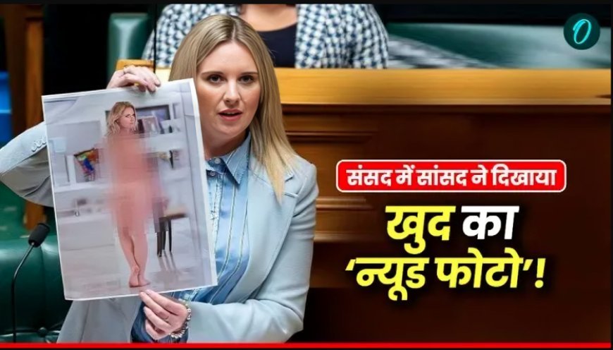 न्यूजीलैंड के संसद में MP का न्यूड फोटो