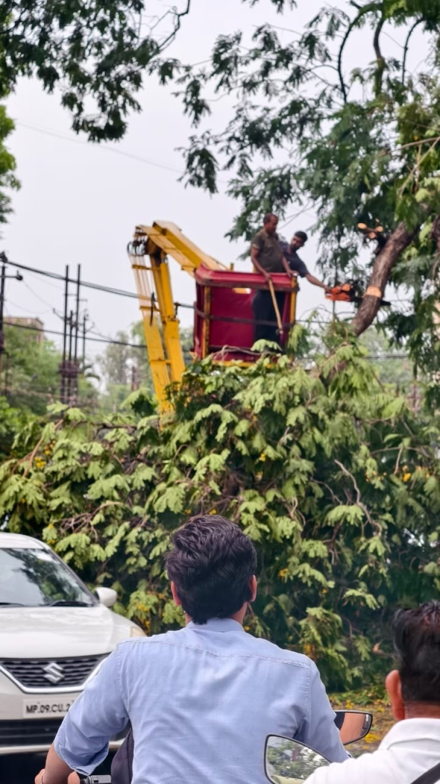 निगम की आपदा प्रबंधन टीम अलर्ट -शहर में चली आंधी के पश्चात उद्यान विभाग की टीम ने हटाए सड़कों पर गिरे पेड़